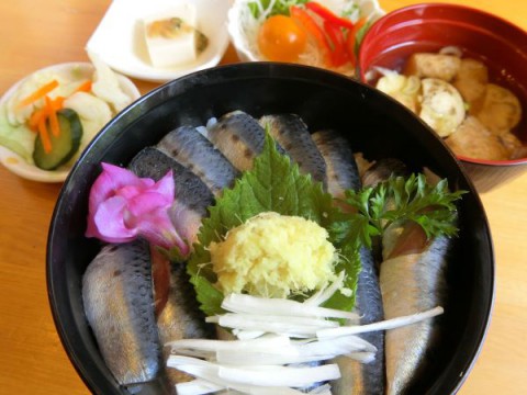 いわし丼880円♪