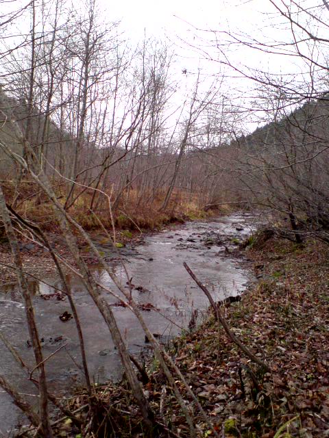 すっかり寂しくなって！