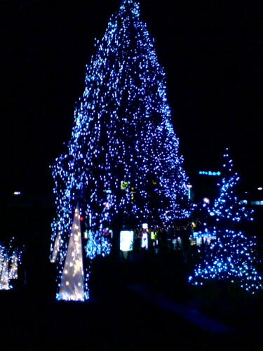 月水（ツキミ）さんに、負けるな！