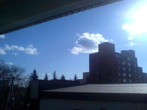 いい天気ですね！