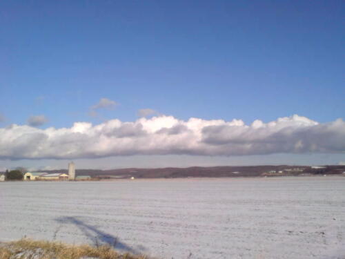 最近のお気に入り！