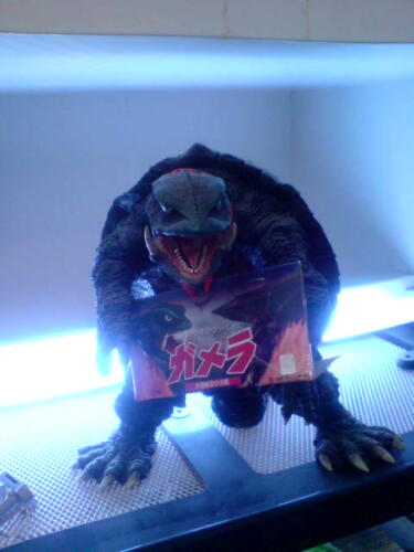 かめランドに行ってきました！