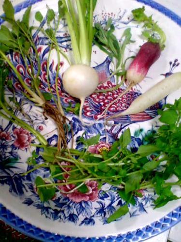 疲れた胃袋に！