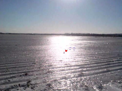 天気が良かったので！