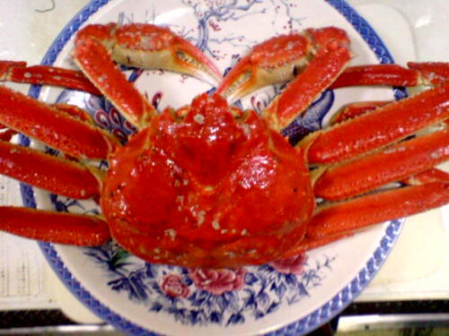 はい、チーズ！