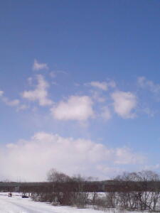 ホワイトディーのお返しに！