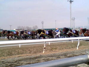 ばんえい記念！