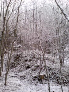 せっかく早く起きたのに！