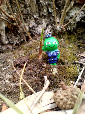 違うポイントに！