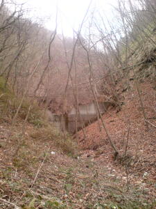 ヤッパリ行って来ました！