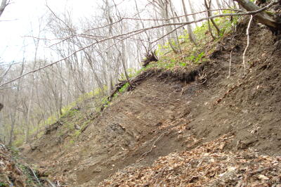 動物的カンが働いた瞬間♪