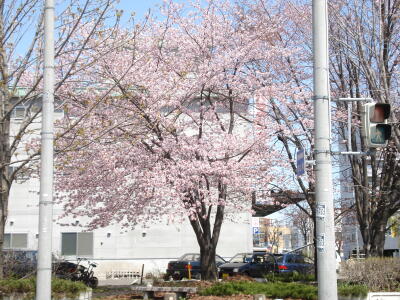 取材を受けました！