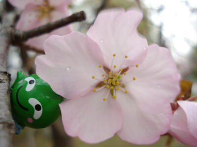 言葉なんか、いらないよね!