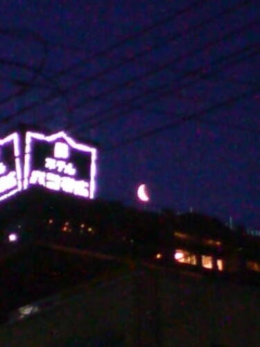 夜桜お七を探しに!