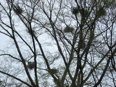 取材要請を受けたので！