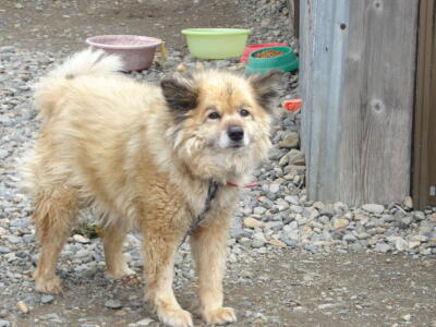 オイラの名は！