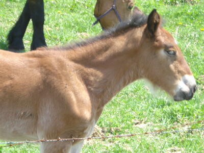 天気が良くて気持ちがいいですね！