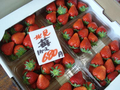 運動会と言ったら？