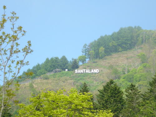 広尾つつじ祭り！