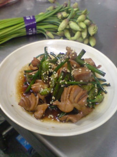 本日のおすすめ！