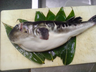 化けの皮を剥がす！