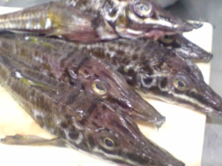 チョット真面目に！