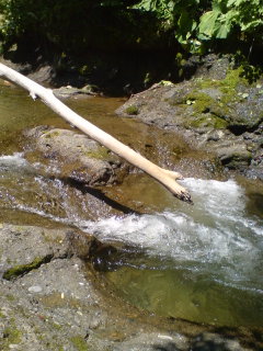 ふふふっ・・・ヤ・マ・ベ（にかっ♪）