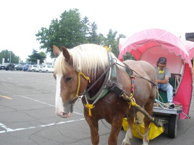 馬車に揺られて！