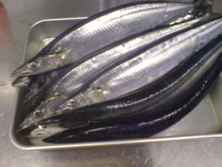 明日からSeptember!