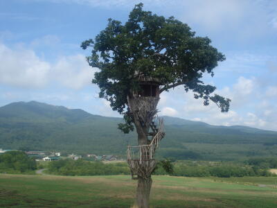 違いのわかるかな～！