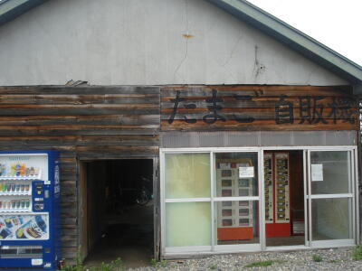 産みたて新鮮！