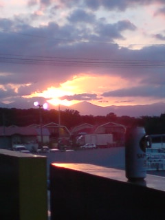 日の当たる場所！