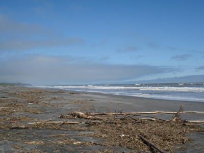 すっきりしない天気ですね！