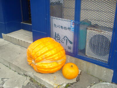 大きいことはいい事だ♪