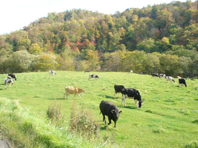 足寄に足を寄せて！（後半）