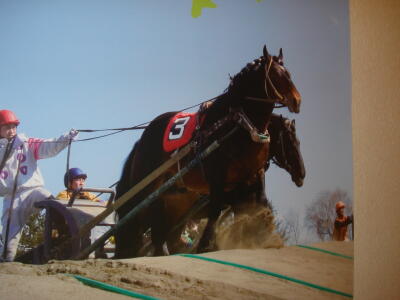 駄々こねるんじゃね～