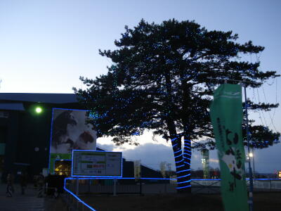 久々に行って来ました！