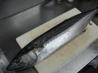 鰆の味噌漬け♪