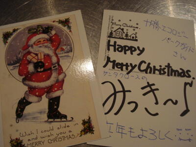 クリスマスカードが届きました♪