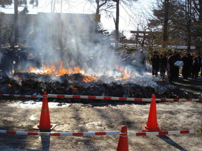 焼肉、やいても!
