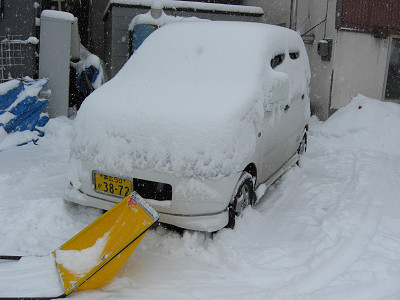 降り続いてますね～
