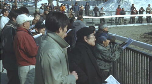 雪に願えないこと！