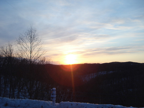 目に飛び込んできたものたちパートⅡ