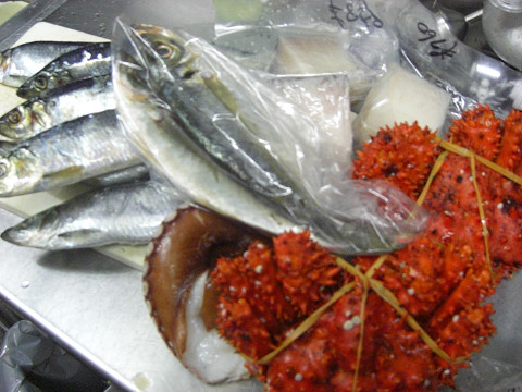 本日の仕入れ！