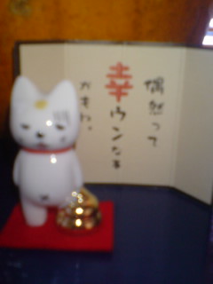 なにから話そう！