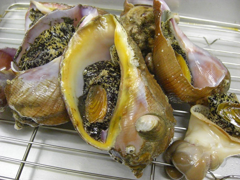 今日はなんの日？