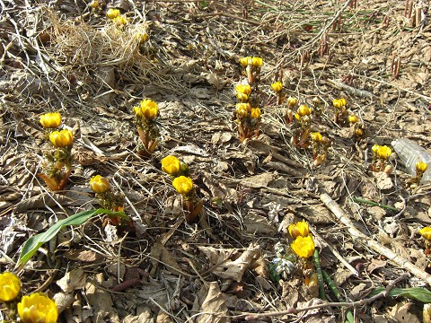 昨日の休日は！