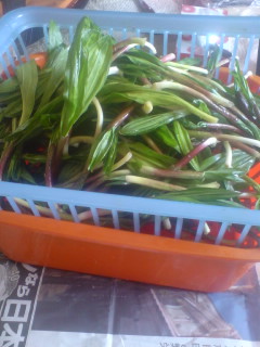 悲しいお知らせ！