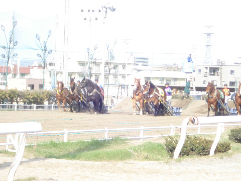 スター誕生！？