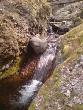 究極の天ぷらソバ♪